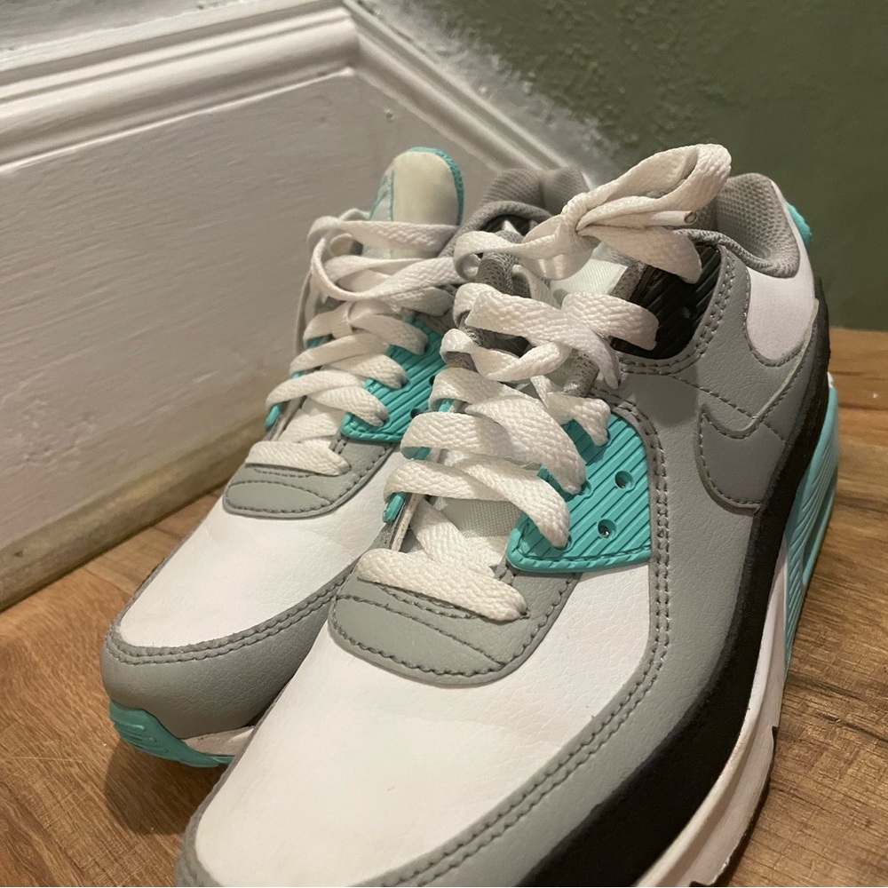 Nike Air Maxs